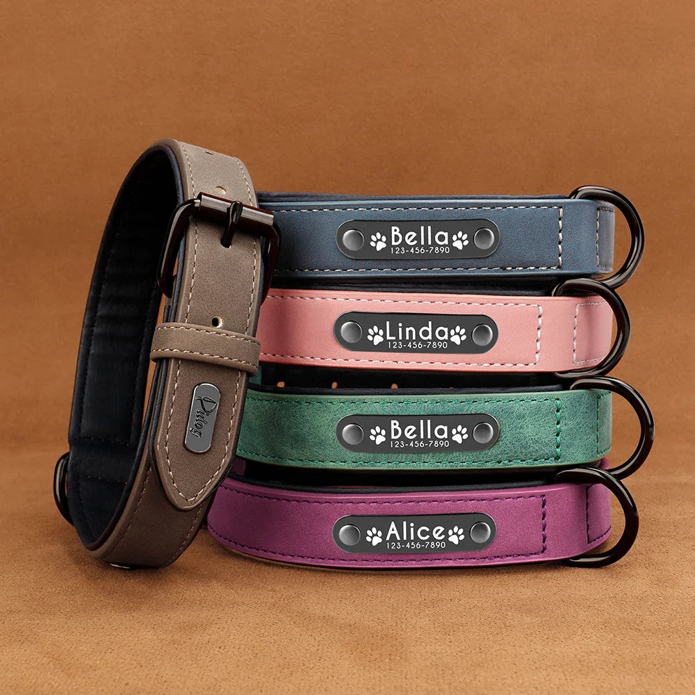Collars & leash