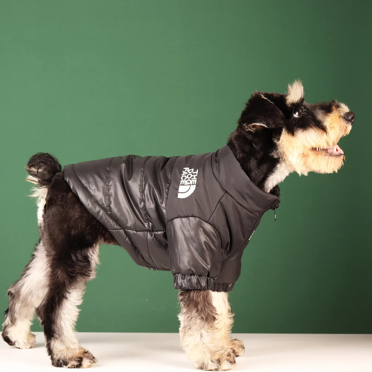 Dog Fashion Vest