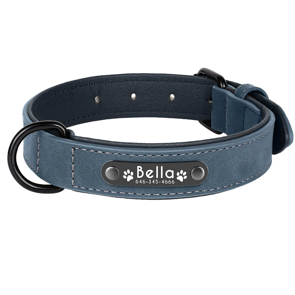 Personalized Dog Collars