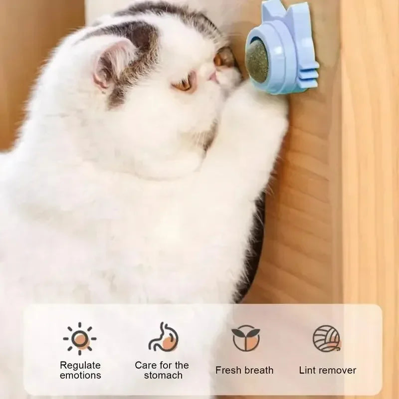 Rotatable Stick On Wall Catnip