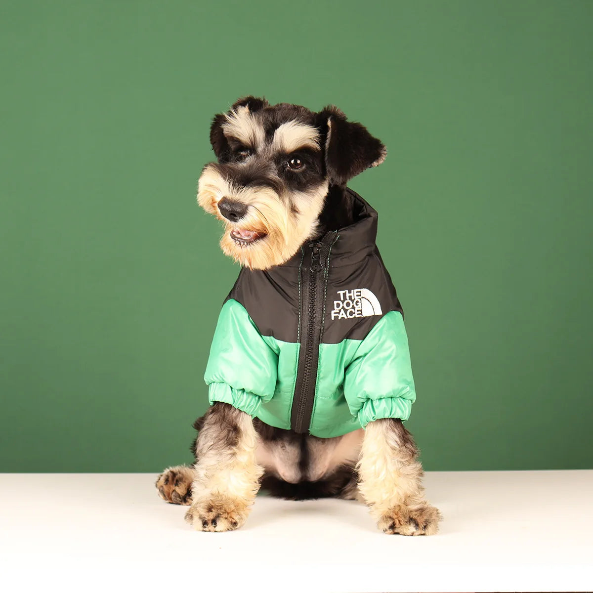 Dog Fashion Vest