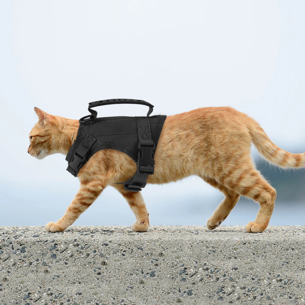 Tactical Harness & Leash