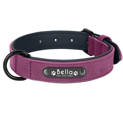 Personalized Dog Collars