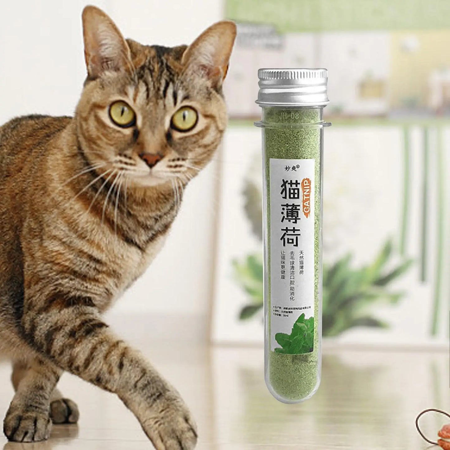 Dried Natural Catnip Powder