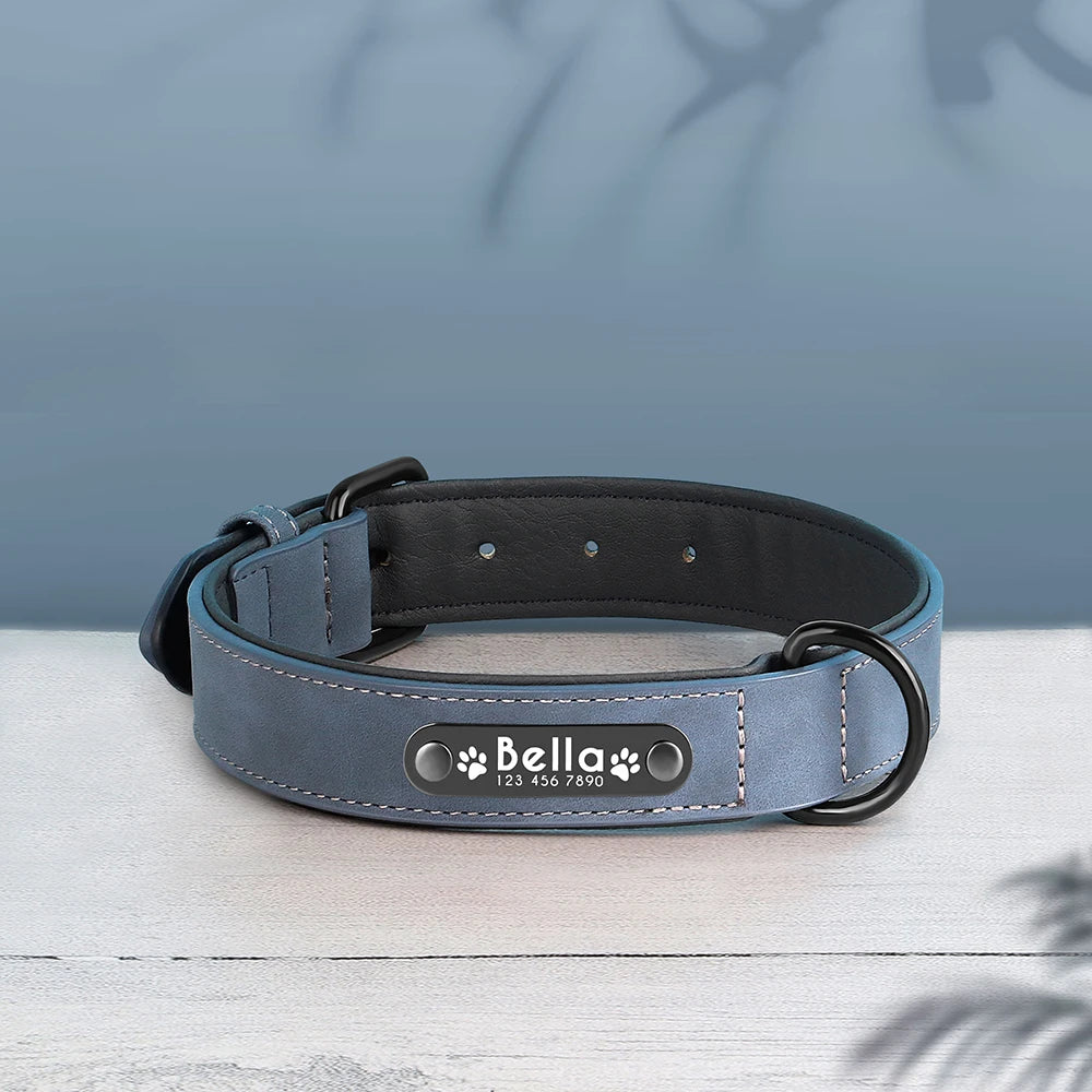 Personalized Dog Collars