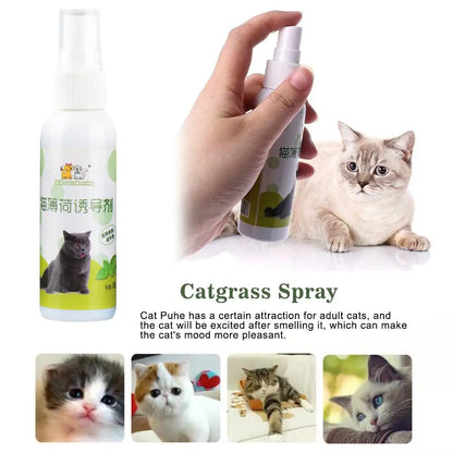 Catnip Spray