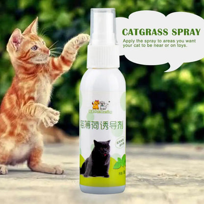 Catnip Spray