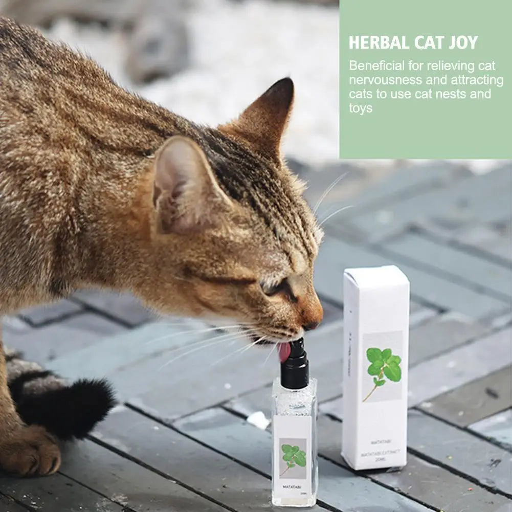 Catnip Spray