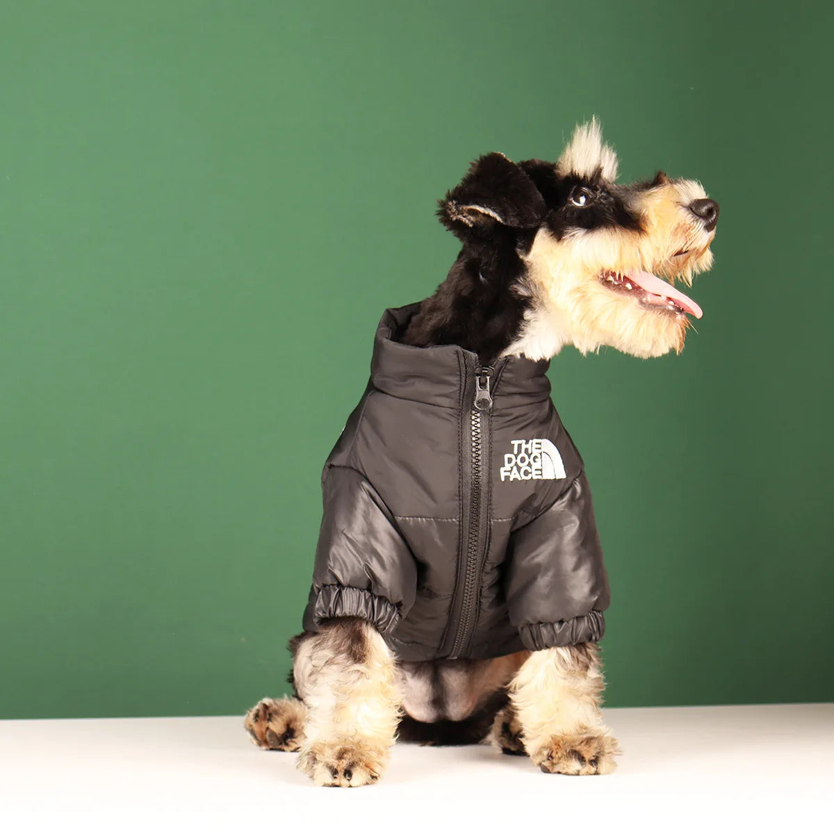 Dog Fashion Vest