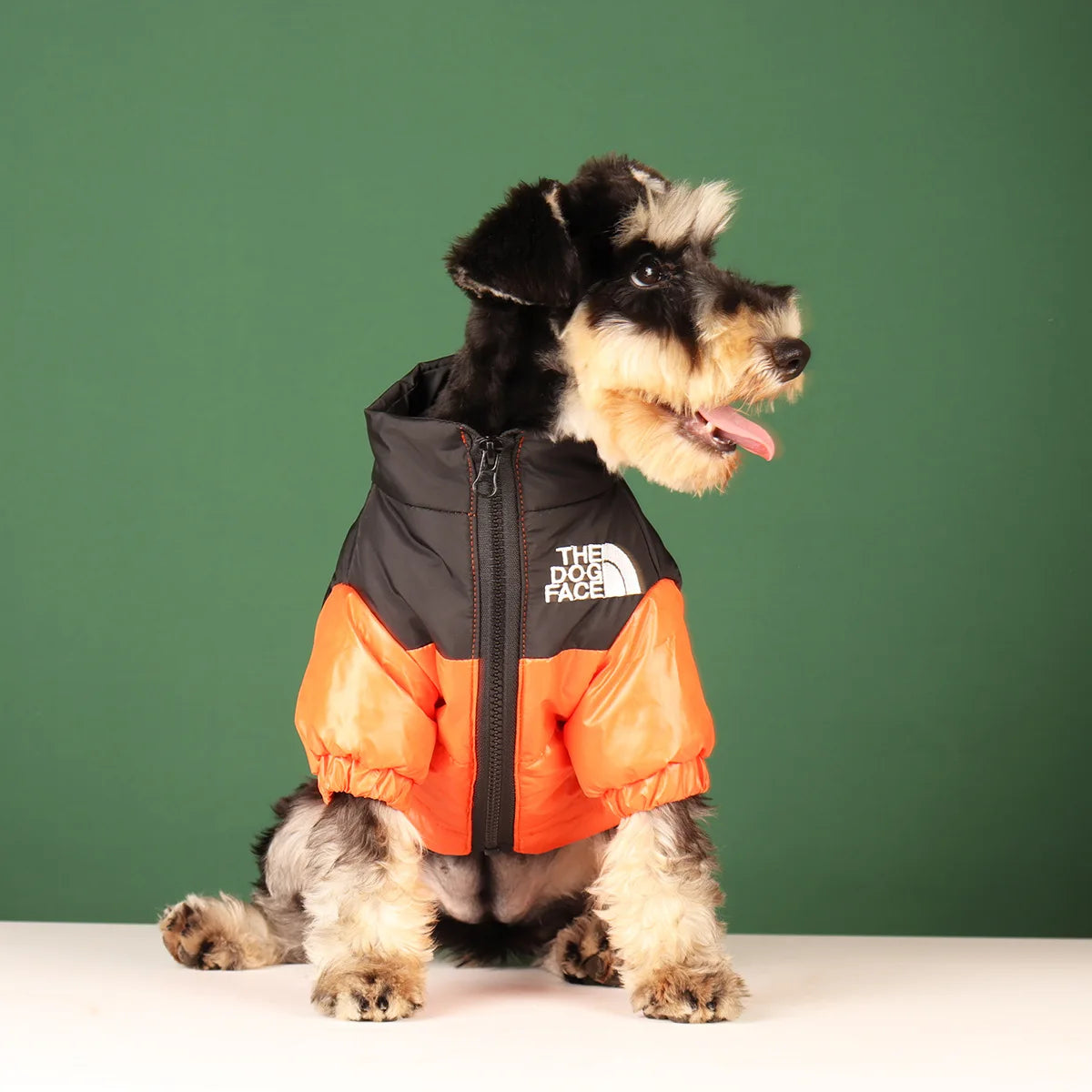 Dog Fashion Vest