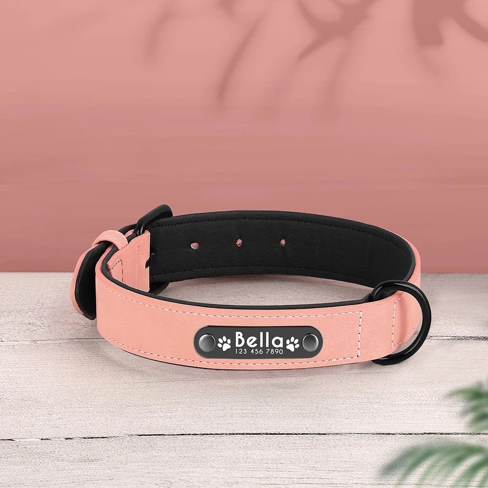 Personalized Dog Collars