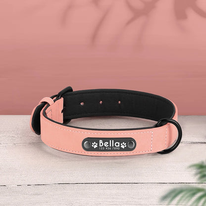 Personalized Dog Collars