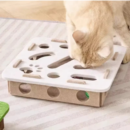 Puzzle Maze Box
