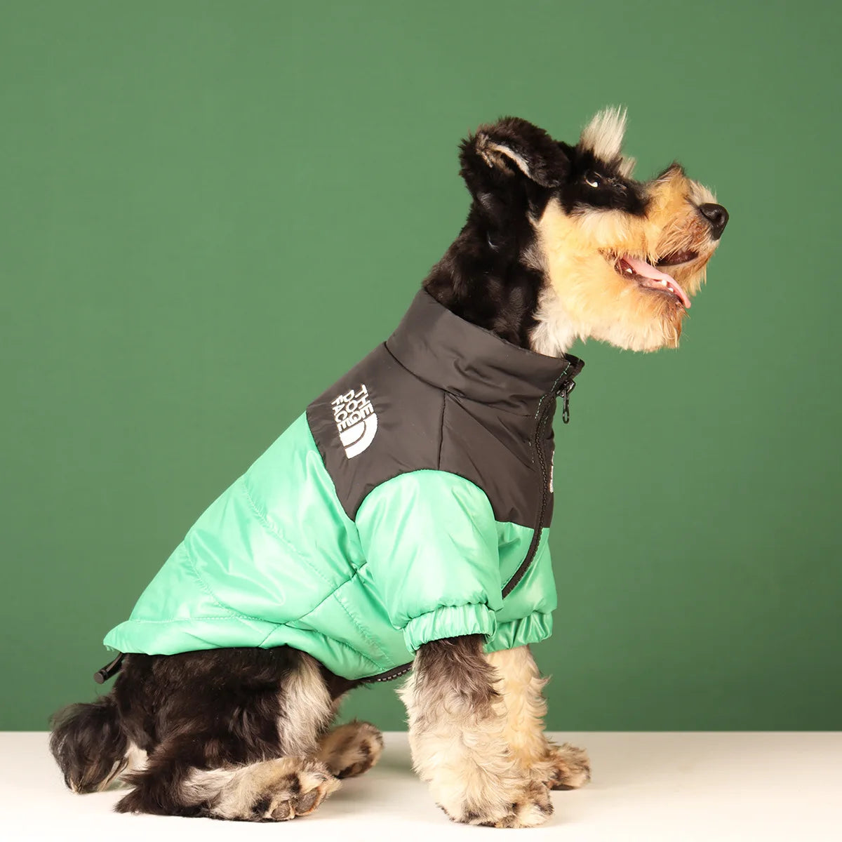 Dog Fashion Vest