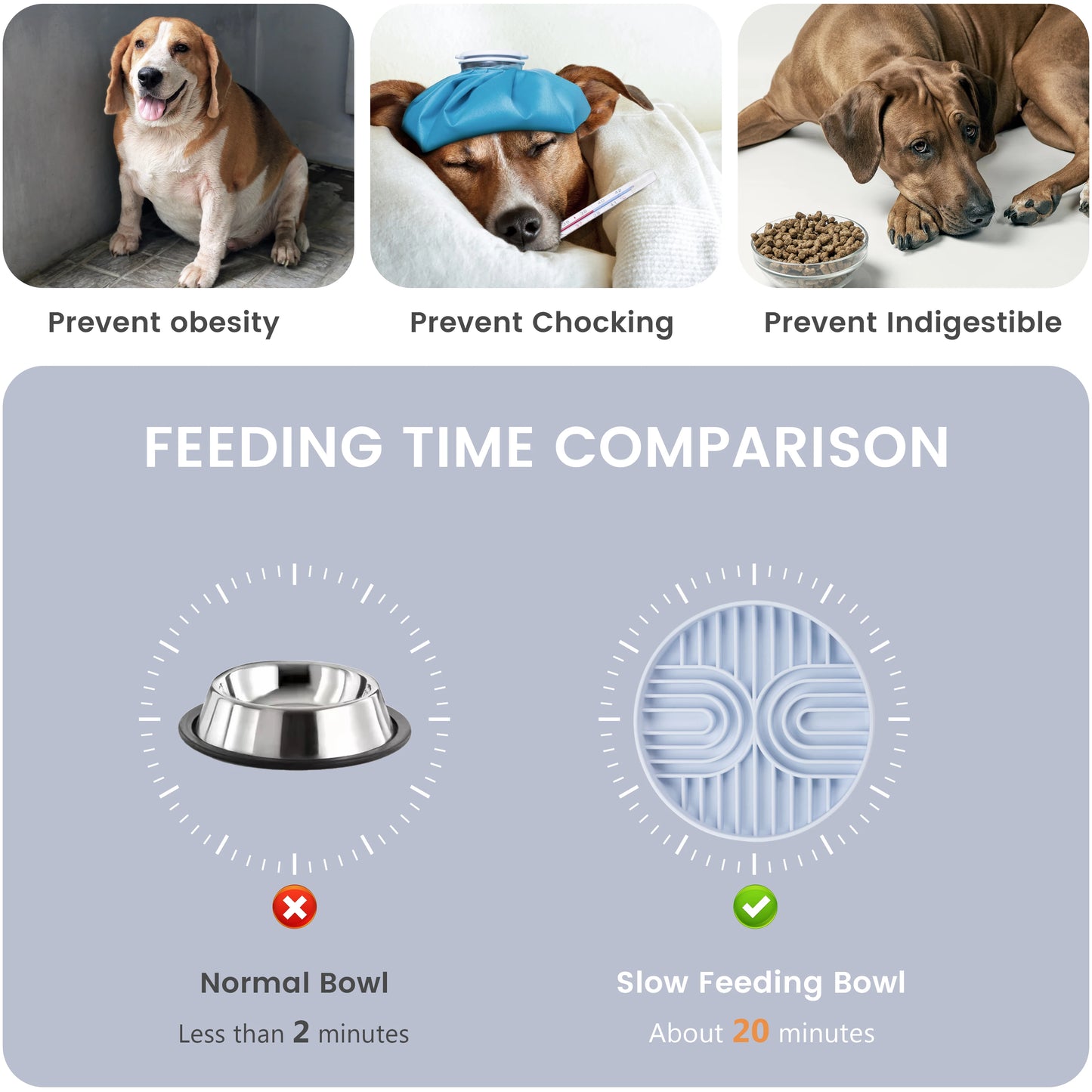 Slow Feeder Disperses Bowl