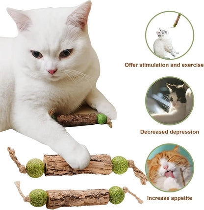 3x Natural Molar Teething Catnip Stick
