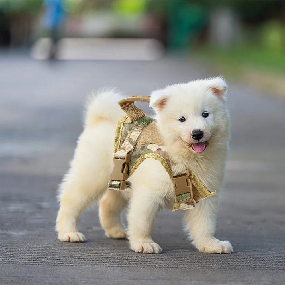 Tactical Harness & Leash