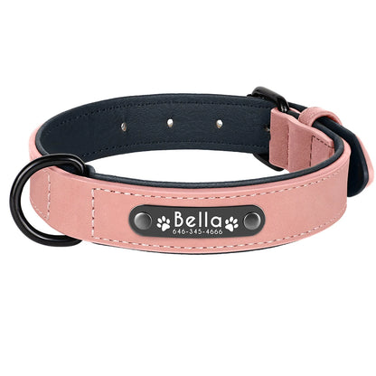 Personalized Dog Collars