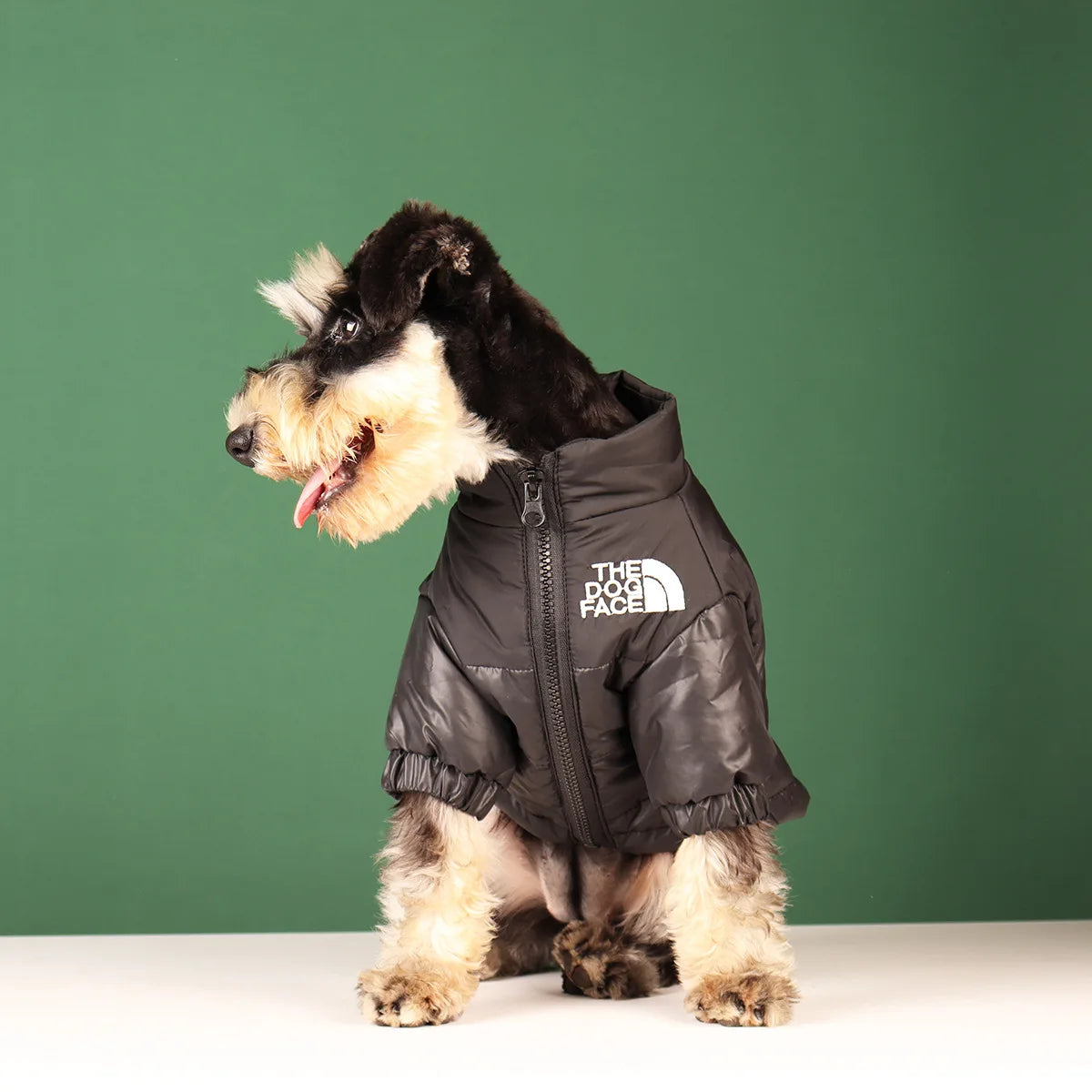 Dog Fashion Vest