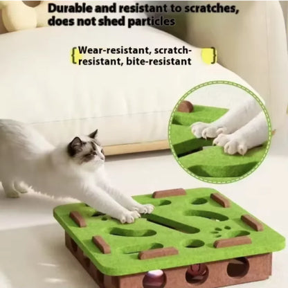 Puzzle Maze Box