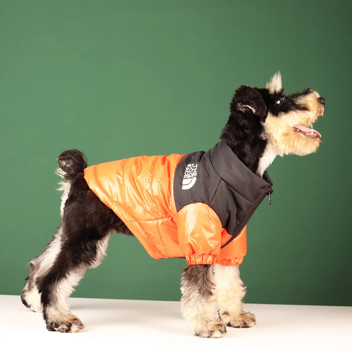 Dog Fashion Vest