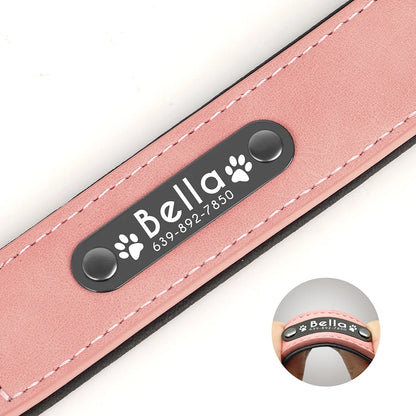 Personalized Dog Collars