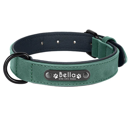 Personalized Dog Collars