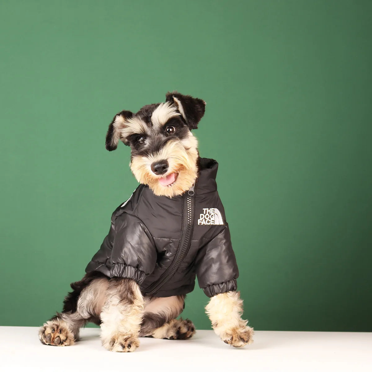 Dog Fashion Vest