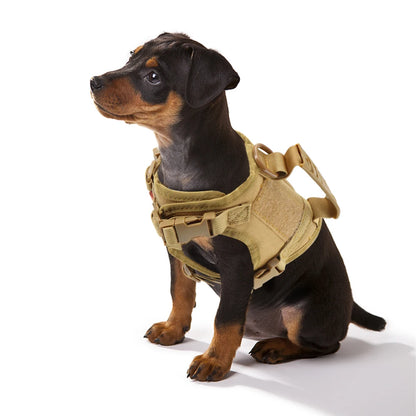 Tactical Harness & Leash
