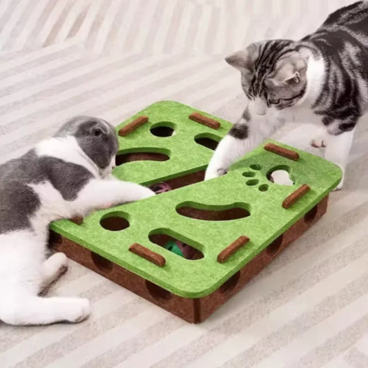 Puzzle Maze Box