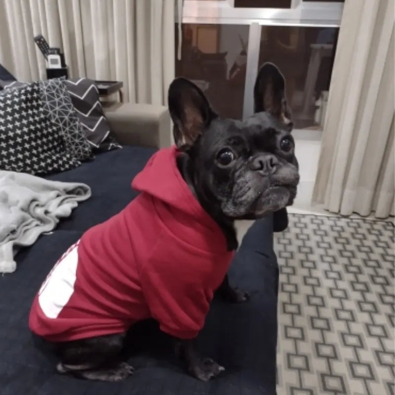 Dog Fashion Hoodies