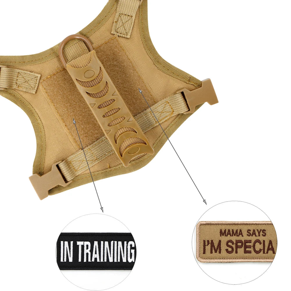 Tactical Harness & Leash