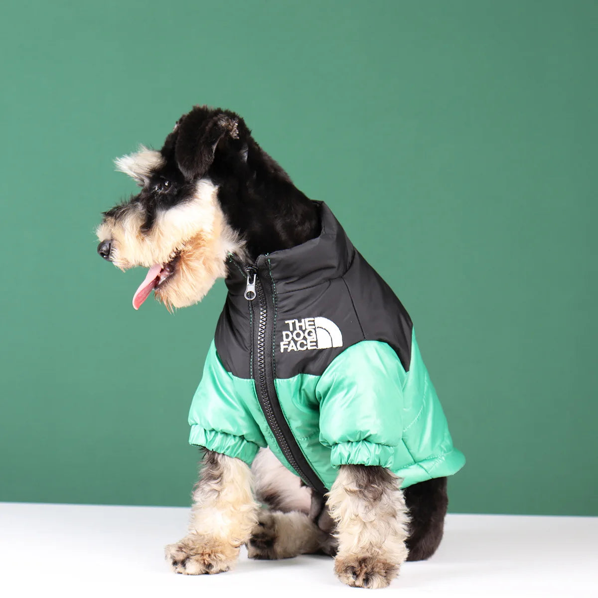 Dog Fashion Vest