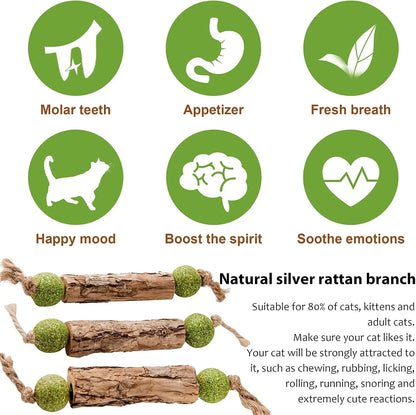 3x Natural Molar Teething Catnip Stick