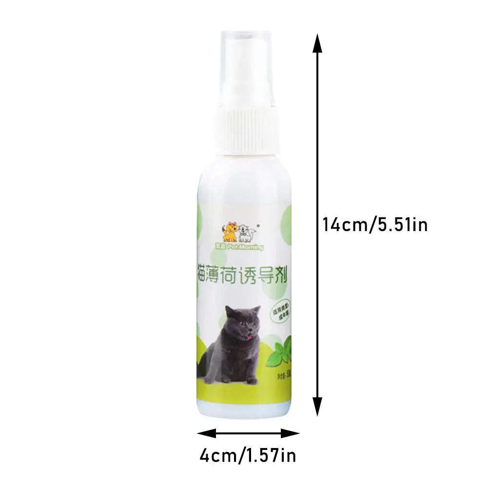 Catnip Spray