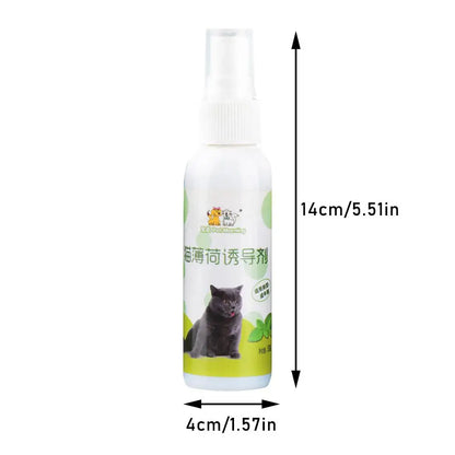 Catnip Spray