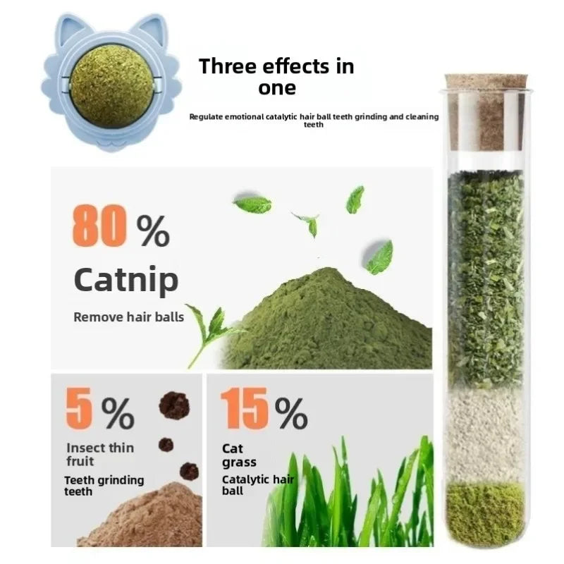 Rotatable Stick On Wall Catnip