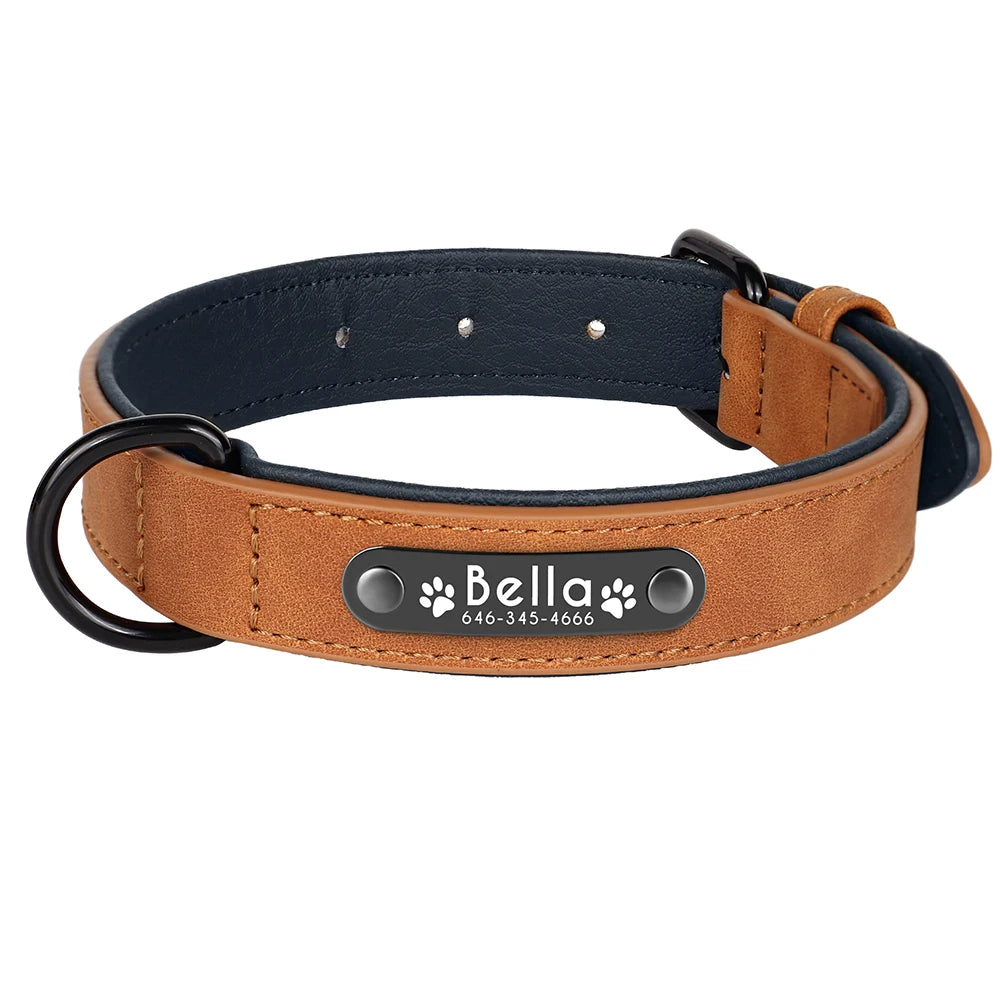 Personalized Dog Collars