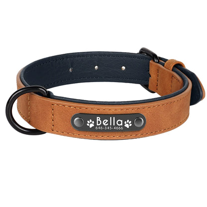 Personalized Dog Collars
