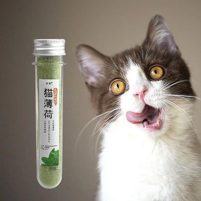 Dried Natural Catnip Powder