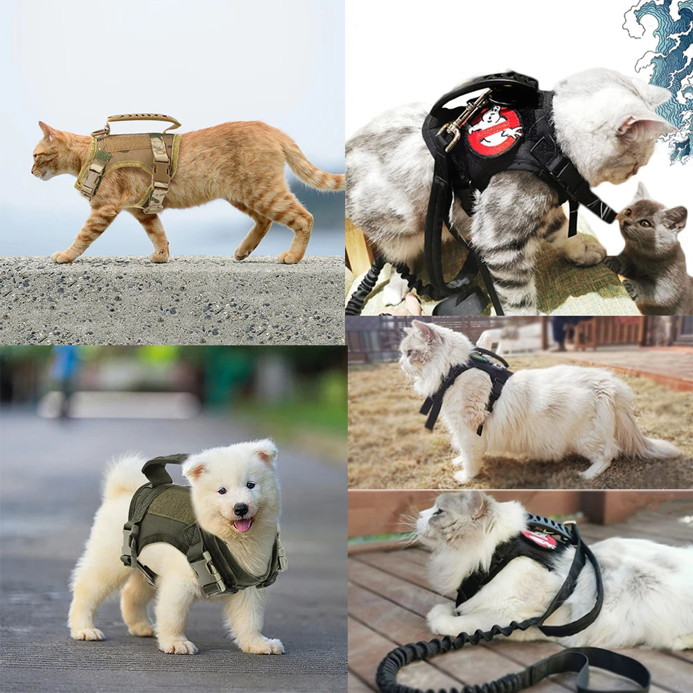 Tactical Harness & Leash